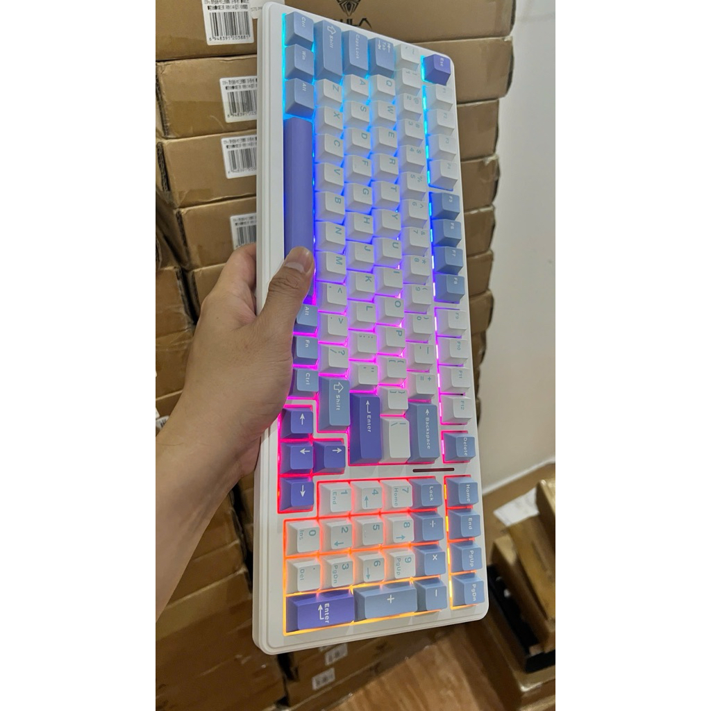 [Hoả tốc] Bàn phím cơ AULA F99 3 Mode Bluetooth 2.4G USB-C | RGB LED | Hot Swap | Layout 99 phím nhỏ gọn | Pin trâu | BigBuy360 - bigbuy360.vn