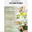 Nước ép bắn 1p (Chanh ô liu / Gừng chanh / Cà chua trắng