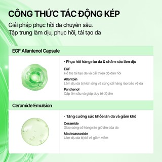 [CELL IN SHOT] Tinh chất EGF Allantenol Repair Ampoule 50ml phục hồi da, cấp ẩm sâu, củng cố hàng rào bảo vệ, làm dịu da