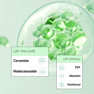 [CELL IN SHOT] Tinh chất EGF Allantenol Repair Ampoule 50ml phục hồi da, cấp ẩm sâu, củng cố hàng rào bảo vệ, làm dịu da