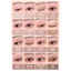 Bảng mắt làm mờ mềm Hello Kitty 16 màu 14g (08 CANDY CORAL / 05 MUTE CORAL)