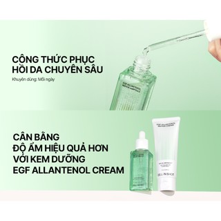 [CELL IN SHOT] Tinh chất EGF Allantenol Repair Ampoule 50ml phục hồi da, cấp ẩm sâu, củng cố hàng rào bảo vệ, làm dịu da