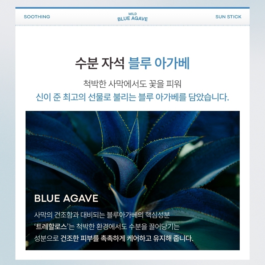 TONYMOLY Thanh Lăn Chống Nắng Mild Blue Agave SPF50+ PA++++ Làm Dịu, Cấp Ẩm, Không Để Lại Vệt Trắng, Dịu Nhẹ mild sun stick