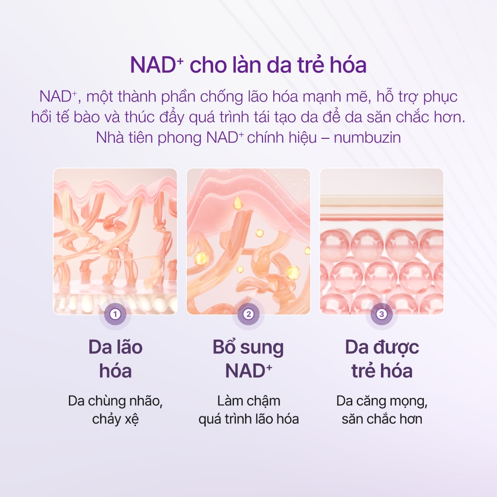 [Numbuzin Official] (SET) Toner Căng Bóng(150ml) và Tinh chất ngừa lão hóa (50ml) NAD+ số 9 | BigBuy360 - bigbuy360.vn