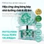 PDRN Capsule Cream 50ml Kem Dưỡng Phục Hồi Da Căng Bóng Cấp Ẩm Sâu Glass Skin Hàn Quốc – Da Mịn Màng Sáng Khỏe [Flagship Chính Hãng]