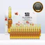 Eco Brunch Premium Ampoule Set 2ml x 30 chiếc Hydrating Chăm sóc da Rào cản Hỗ trợ sử dụng hàng ngày Tất cả các loại da