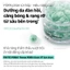 PDRN Capsule Cream 50ml Kem Dưỡng Phục Hồi Da Căng Bóng Cấp Ẩm Sâu Glass Skin Hàn Quốc – Da Mịn Màng Sáng Khỏe [Flagship Chính Hãng]