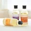 Dầu dưỡng thể Aroha Trees Solution 300ml Dưỡng ẩm Chăm sóc cơ thể Dầu Massage dưỡng ẩm Sử dụng hàng ngày Tất cả các loại da