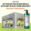 Sữa tắm giảm mụn AHA-BHA-PHA 30 Days Miracle Acne Clear Body Cleanser 400g