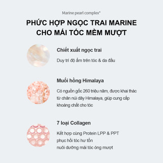 [GROWUS Chính hãng] Tinh chất dưỡng da đầu AHA, BHA, LHA, Collagen and Protein nuôi dưỡng da đầu, giảm rụng tóc, bổ sung dưỡng chất cho da đầu, nuôi dưỡng tóc chắc khỏe GROWUS Damage Therapy Scalp Scaling Ampoule 50ml