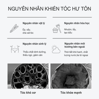[GROWUS Chính hãng] Dầu gội protein, ngọc trai phục hồi tóc hư tổn, nuôi dưỡng mái tóc mềm mượt GROWUS Damage Therapy Shampoo 500ml