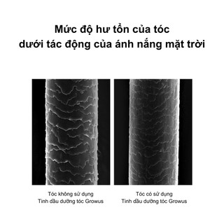 [GROWUS Chính hãng] Dầu dưỡng tóc chiết xuất ngọc trai, Protein phục hồi tóc hư tổn, nuôi dưỡng tóc khỏe mạnh, óng ả mềm mượt từ bên trong GROWUS Damage Therapy Hair Oil 65ml