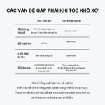 [GROWUS Chính hãng] Xịt dưỡng tóc bổ sung Protein, Collagen phục hồi hư tổn,bảo vệ tóc trước tác động của nhiệt độ cao, nuôi dưỡng mái tóc khỏe mạnh EX GROWUS Damage therapy No wash Treatment EX 250ml — ảnh 6
