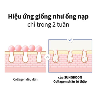 [SUNGBOON EDITOR] Kem chống nhăn Deep Collagen Anti-Wrinkle Cream-in-Serum 30ml