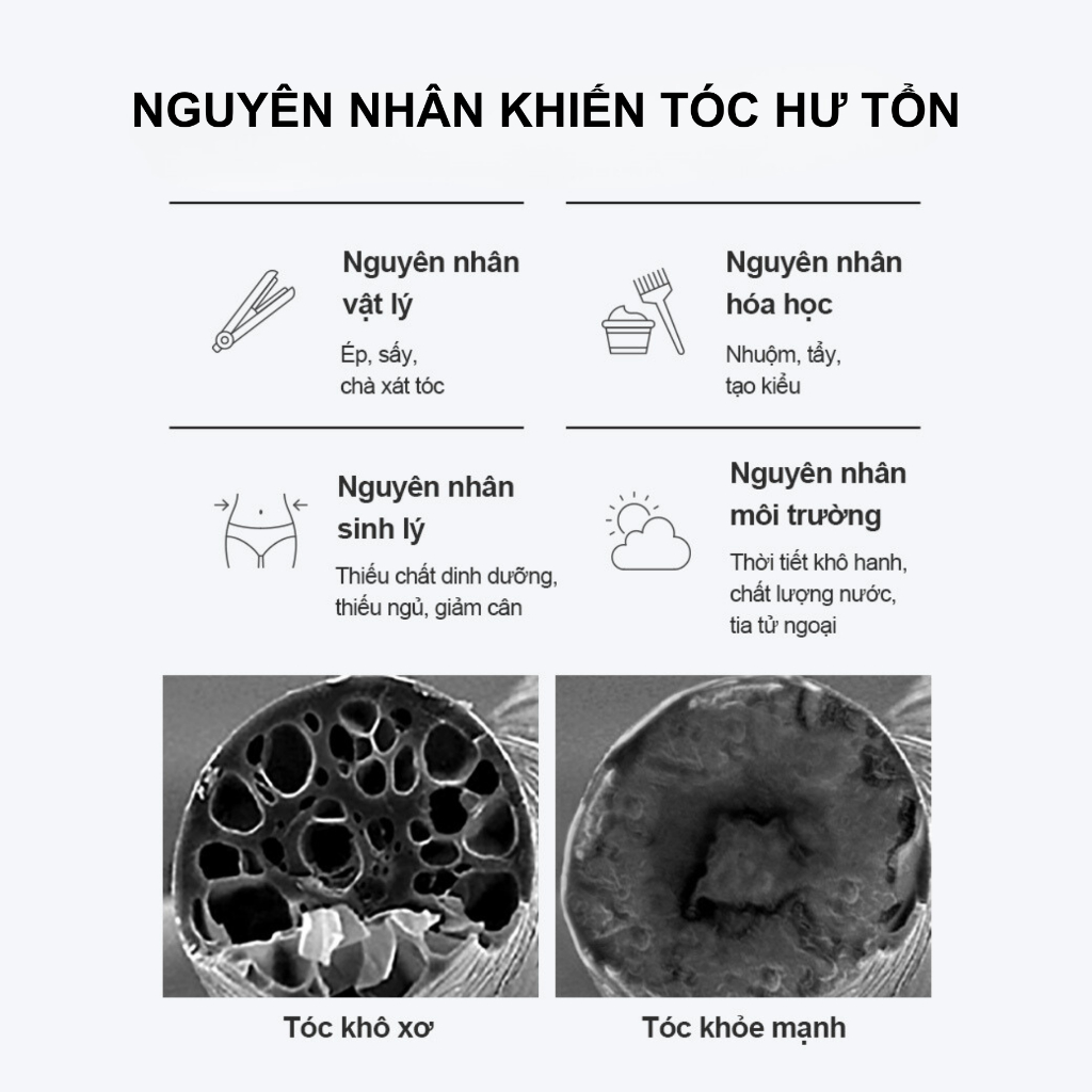 Dưỡng Tóc Phục Hồi Hư Tổn - Dưỡng tóc phục hồi hư tổn