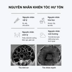 [GROWUS Chính hãng] Xịt dưỡng tóc bổ sung Protein, Collagen phục hồi hư tổn,bảo vệ tóc trước tác động của nhiệt độ cao, nuôi dưỡng mái tóc khỏe mạnh EX GROWUS Damage therapy No wash Treatment EX 250ml — ảnh 5