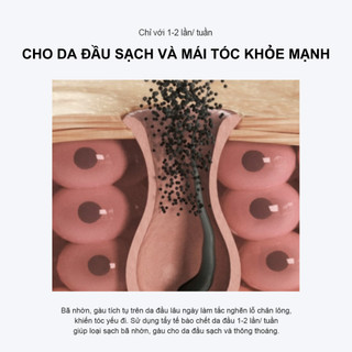 [GROWUS Chính hãng] Tẩy tế bào chết da đầu muối biển giảm gàu nhờn, làm mát da đầu, tóc tơi, khoáng chất cung cấp dưỡng chất cho tóc và da đầu GROWUS Sea Salt Therapy Scalp Scaler 30g / 120g / 250g