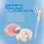Cọ tán son (Silicone / Chổi lông)