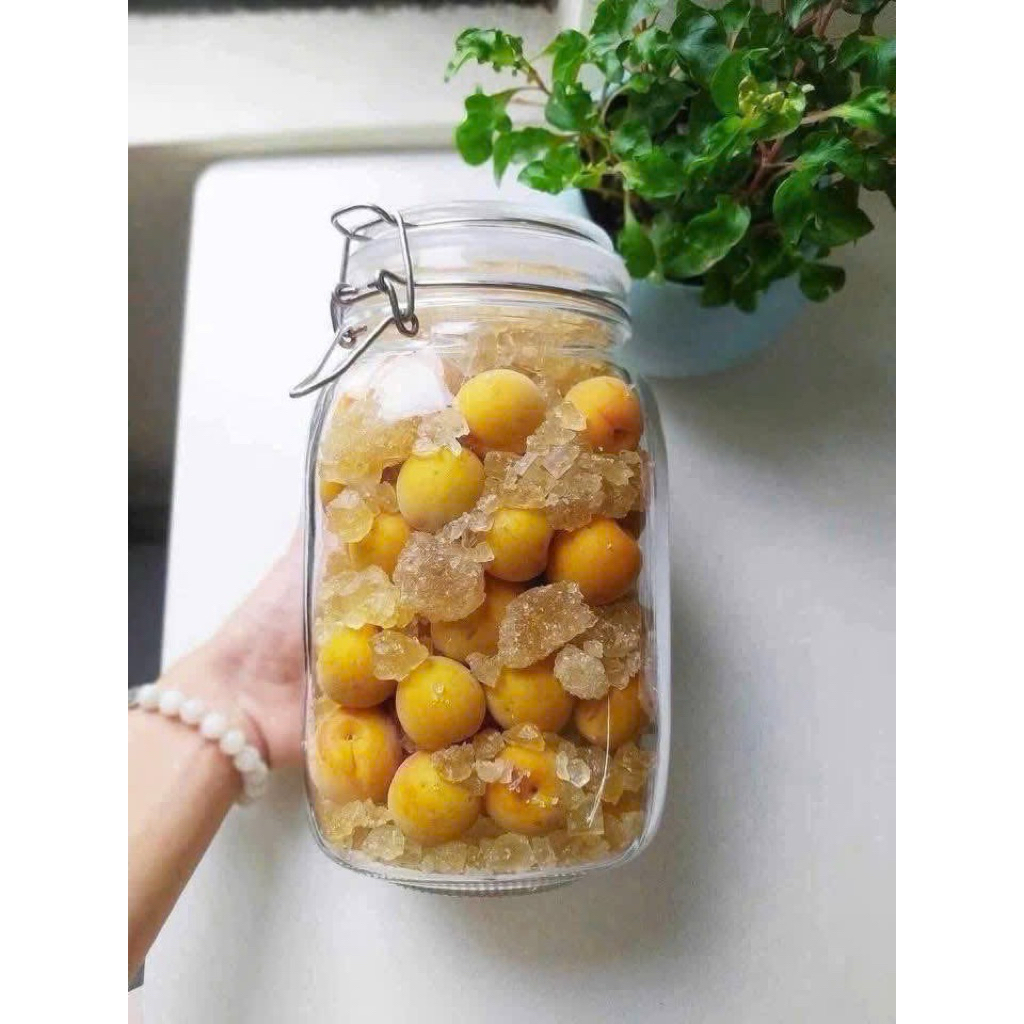 Bình Thủy Tinh Nắp Gài Kín Hơi Cao Cấp – Hũ Ngâm Hoa Quả, Đồ Khô, Làm Mứt Tiện Lợi (Loại 1L - 2L)