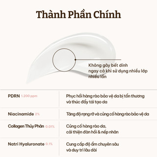 [Dr.Reju-All Official] [MINI] PD3 Kem Dưỡng PDRN Phục Hồi & Tái Tạo Da 5ml | Chống lão hóa, Da khô, Da nhạy cảm, 1.200ppm, Dược mỹ phẩm Hàn Quốc, Không gây mụn Panthenol, Niacinamide,Collagen