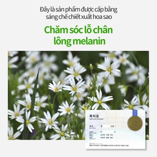 [SUNGBOON EDITOR] Kem chống nắng làm mờ lỗ chân lông cà chua xanh 50g SPF50 + PA + + + +