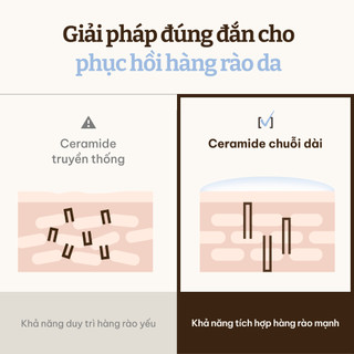 [Dr.Reju-all Official] [MINIX2] SD4 Hiệu Quả Cao LC-Ceramide Kem Phục Hồi Hàng Rào Da 5ml X 2 | Da khô, Dưỡng ẩm Dược mỹ phẩm Hàn Quốc, Không gây mụn Panthenol, Niacinamide