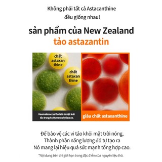 [SUNGBOON EDITOR] Astaxanthin Active Marine Capsule Cream 50g – Kem dưỡng viên nang cấp ẩm