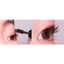 ANJO Black Snail Mascara chống thấm nước 3 chiếc Trang điểm mi khối lượng Hàn Quốc