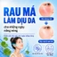 Kem chống nắng CICA Gel SPF50 / PA + + + +