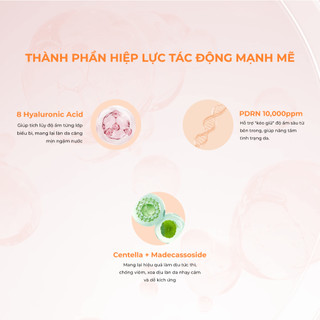 Nước Hoa Hồng Cân Bằng Làm Sáng Da NUDIQUE Spithera Permea Toner 200ml
