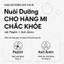 Tinh chất dưỡng mi Honest - Sản phẩm kích thích mọc mi