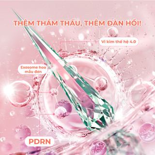 Tinh Chất Vi Kim Phục Hồi Căng Bóng NUDIQUE Spithera Permea PDRN Ampoule 30g
