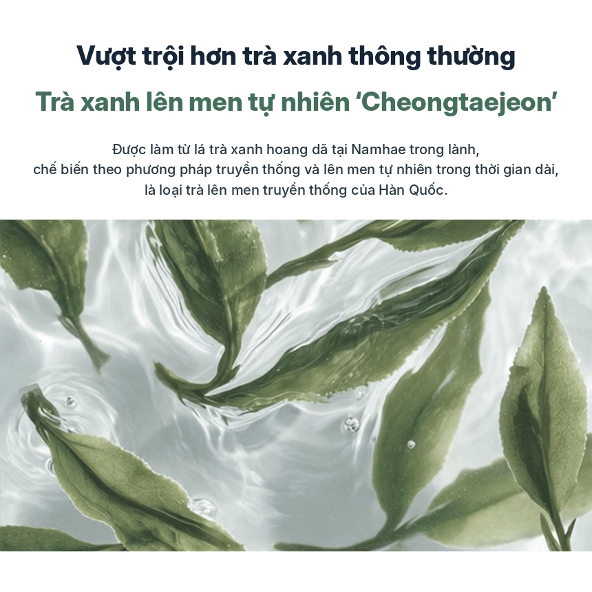 Tinh chất dưỡng ẩm trà xanh TONYMOLY Hydrat hóa Tinh chất hàng ngày