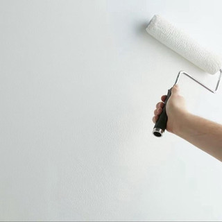 Sơn Ngoại Thất ARTEX N1 Che Phủ Hiệu Quả Bền Màu Chống Rêu Mốc (Thùng 5L)