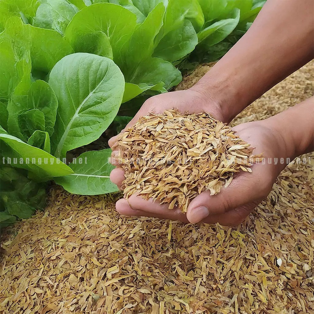 (đi đơn trên 2kg) vỏ trấu khô cải tạo đất trồng cây