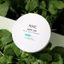 Đệm Chống Nắng Hàn Quốc An Toàn Trên SPF50 + PA + + + + 25g - Kem Chống Nắng Cica, Làm Mát