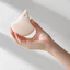 GSLEY Pore Cleaning Puff 2 miếng bọt biển tẩy tế bào chết nhẹ nhàng K-Beauty