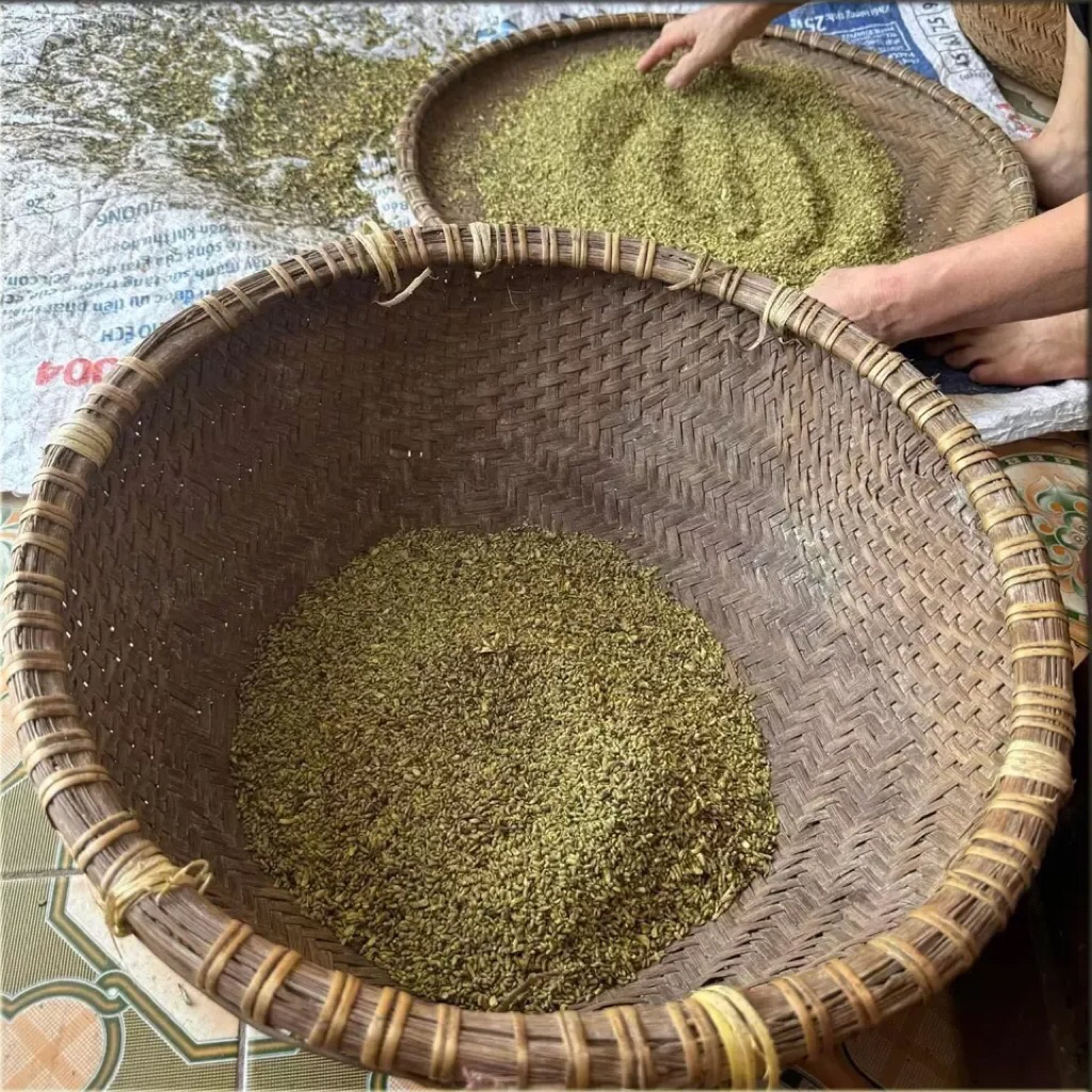 ( Vụ Mới) 1kg Nụ hoa hoè khô không chất bảo quản