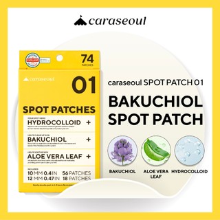 Miếng dán mụn caraseoul Spot Patches 74 miếng