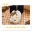 Túi mini in hình Hello Kitty Leopard (Nâu / Đen / Vàng)