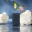 DONGGUBAT Blooming Nước Hoa Dầu Gội Thanh Sửa Chữa 100g 1 + 1 Chắc Chắn Dầu Gội Thanh Chăm Sóc Tóc