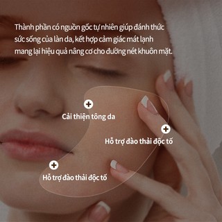 <Odorata / DR. +Aroma> Nâng Cơ Mặt + Đàn Hồi / Dầu Nâng Cơ Mặt 30ml