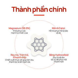 [Snow2plus CHÍNH THỨC] Miếng dán AC Magiê (12 miếng dán vừa) / Loại bỏ mụn nhanh chóng / Miếng dán phục hồi 8 giờ / Miếng dán kim / Miếng dán lúm đồng tiền