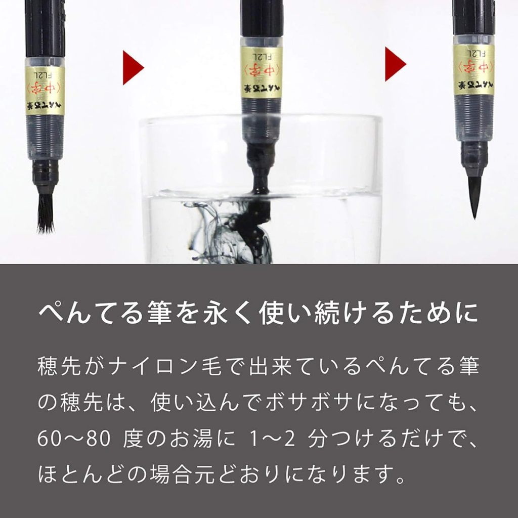 Pentel Fude XFL2 But Long Thu Phap/6 Kieu Dau But Tu Dam Den Manh + Hop Muc Thay/Nhat Ban