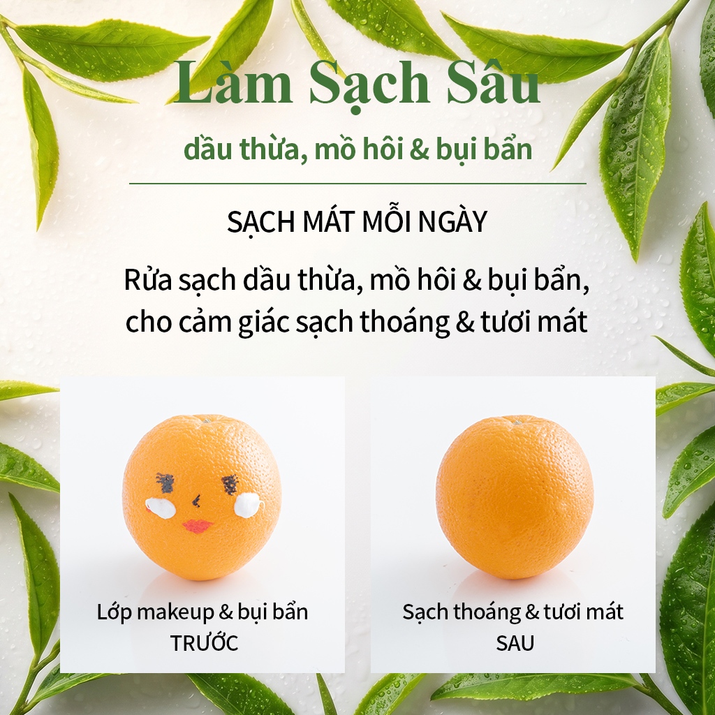 [Benton Official] Sữa Rửa Mặt Trà Xanh Deep Green Tea Cleansing Foam 120g – Làm sạch dịu nhẹ, hỗ trợ kiểm soát bã nhờn, chăm sóc da dầu