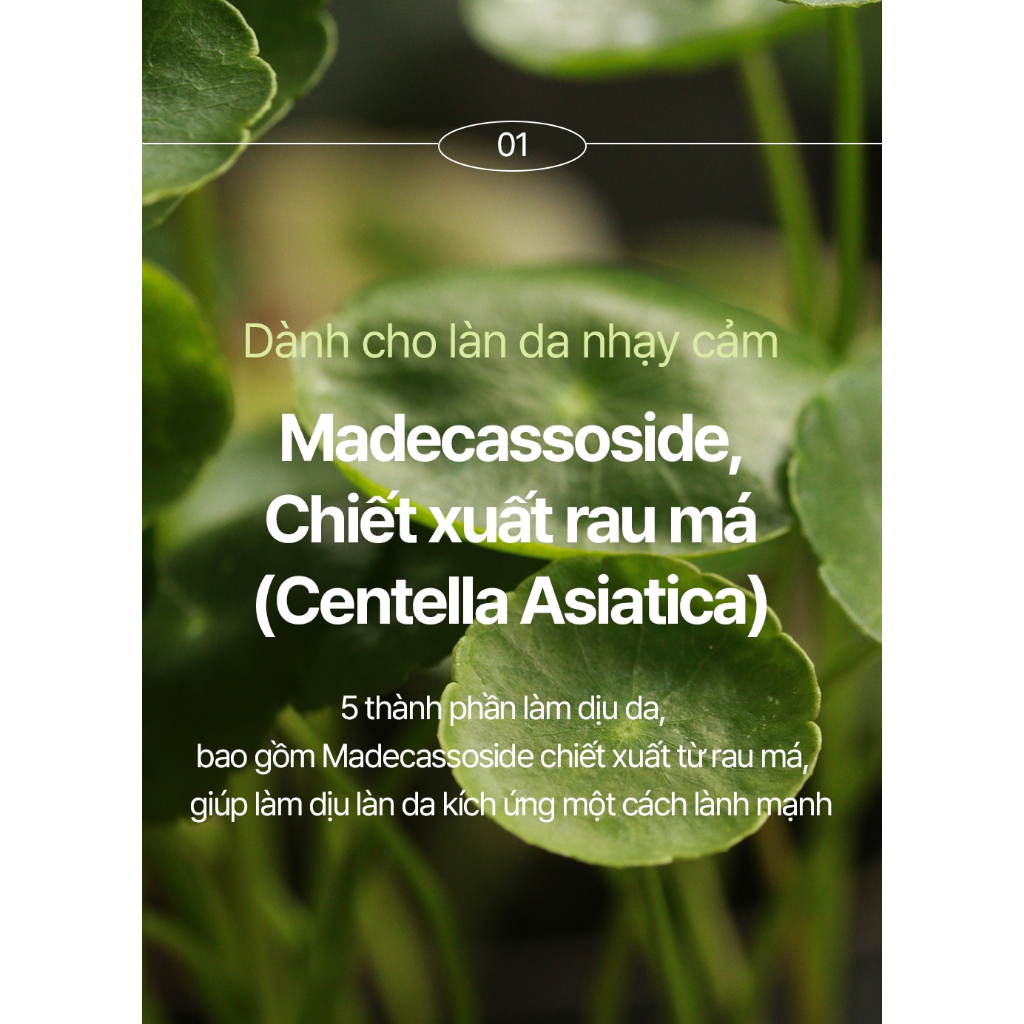 Kem Bôi Tiêu Chuẩn - kem dưỡng ẩm da nhạy cảm
