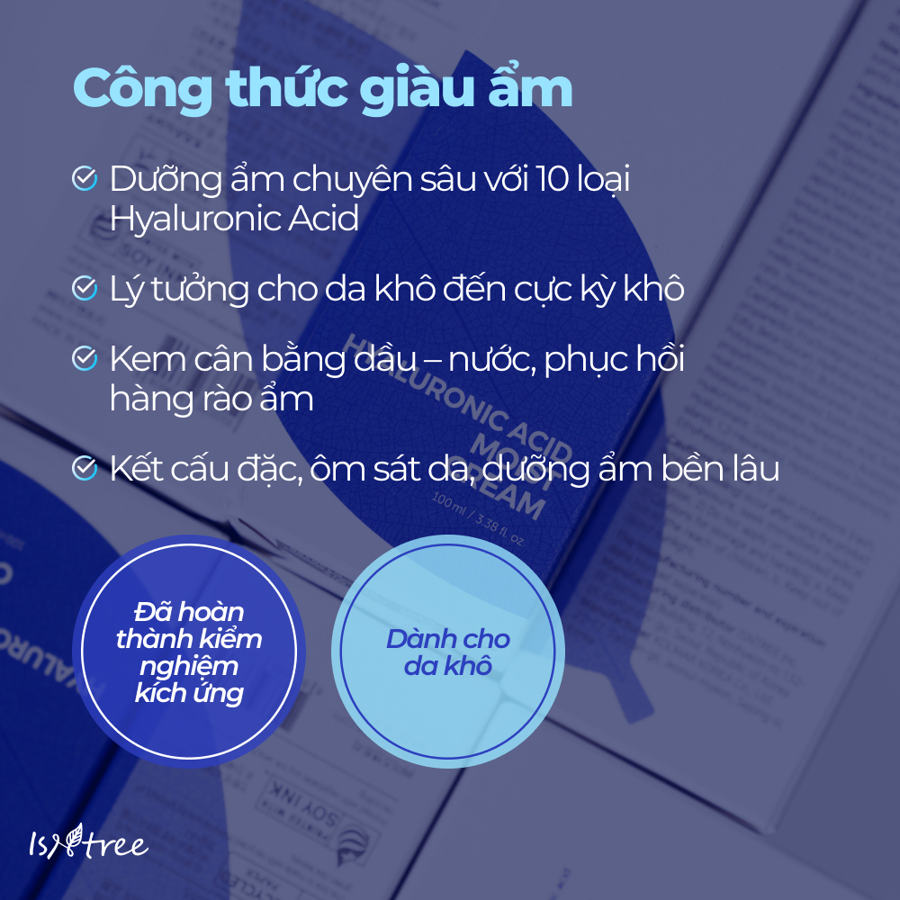 ISNTREE Kem Dưỡng Ẩm Chuyên Sâu Hyaluronic Acid Moist 100ml