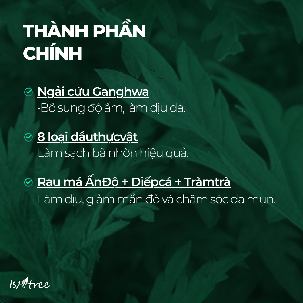 ISNTREE Dầu Tẩy Trang Ngải Cứu Làm Dịu Da 200ml