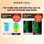 Tinh Chất Vi Kim Tái Tạo Da Với Collagen Pháp Cô Đặc NUDIQUE Dia Spithera Ampoule