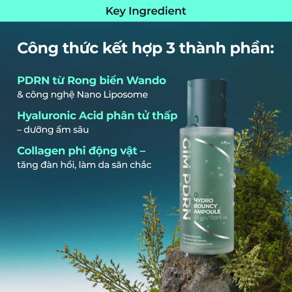 [NEW] ISNTREE Tinh Chất PDRN Rong Biển Hydro 50ml